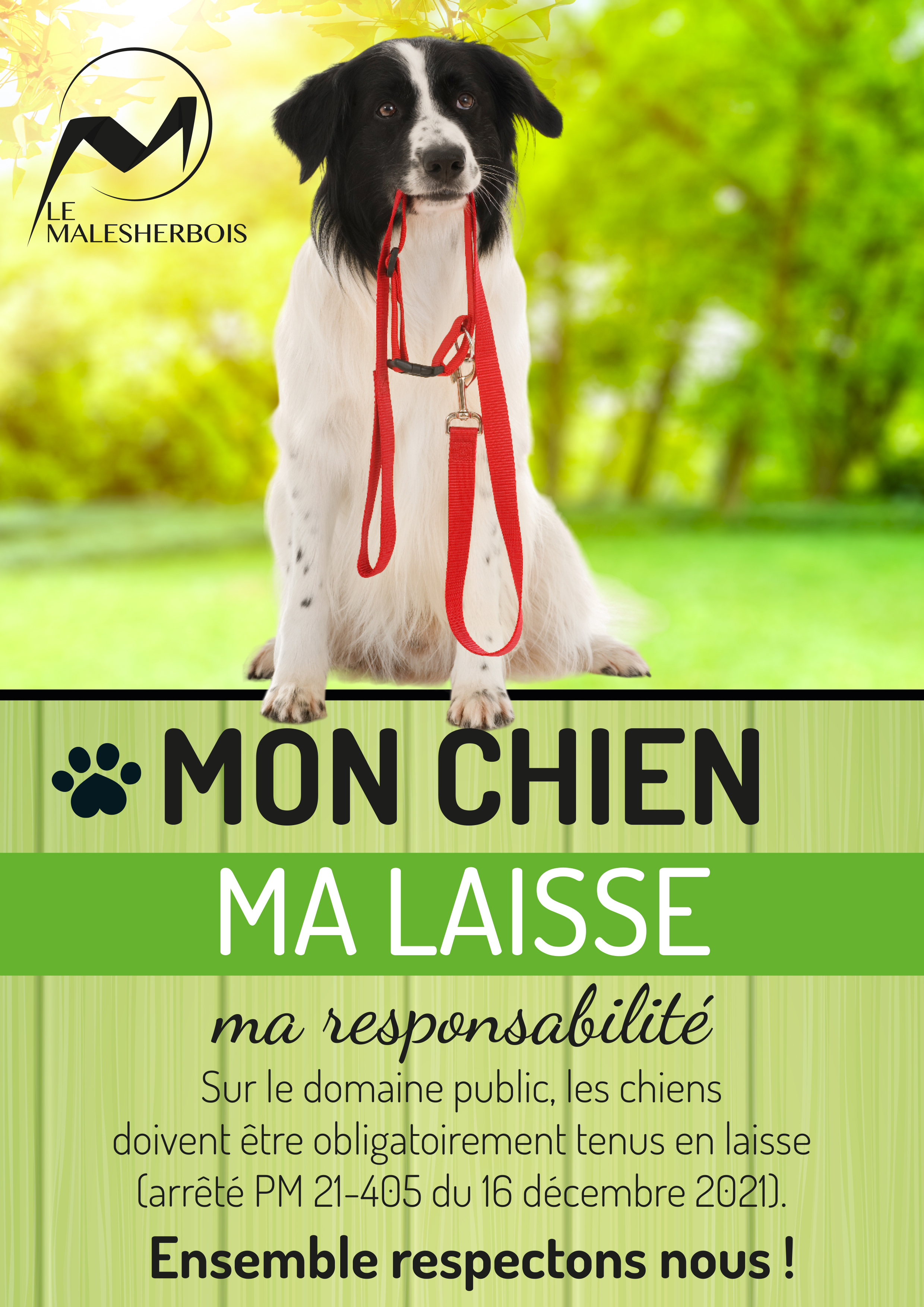 affiche chien laisse